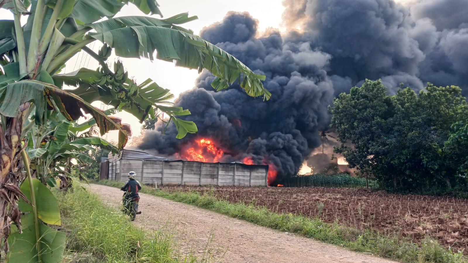 Gudang Diduga Penimbunan Solar Terbakar di Pesawaran