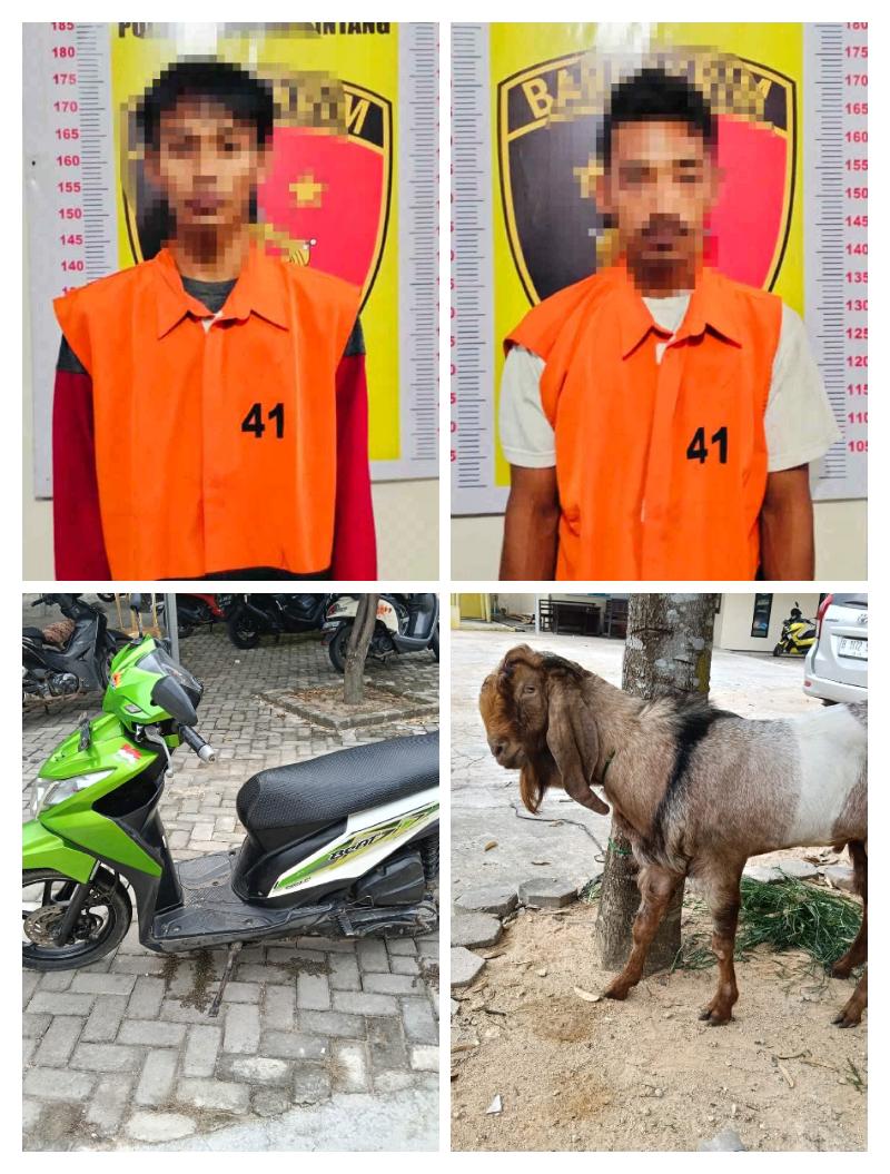 Polisi Ungkap Komplotan Sindikat Pencurian Hewan Ternak di Tanjung Bintang