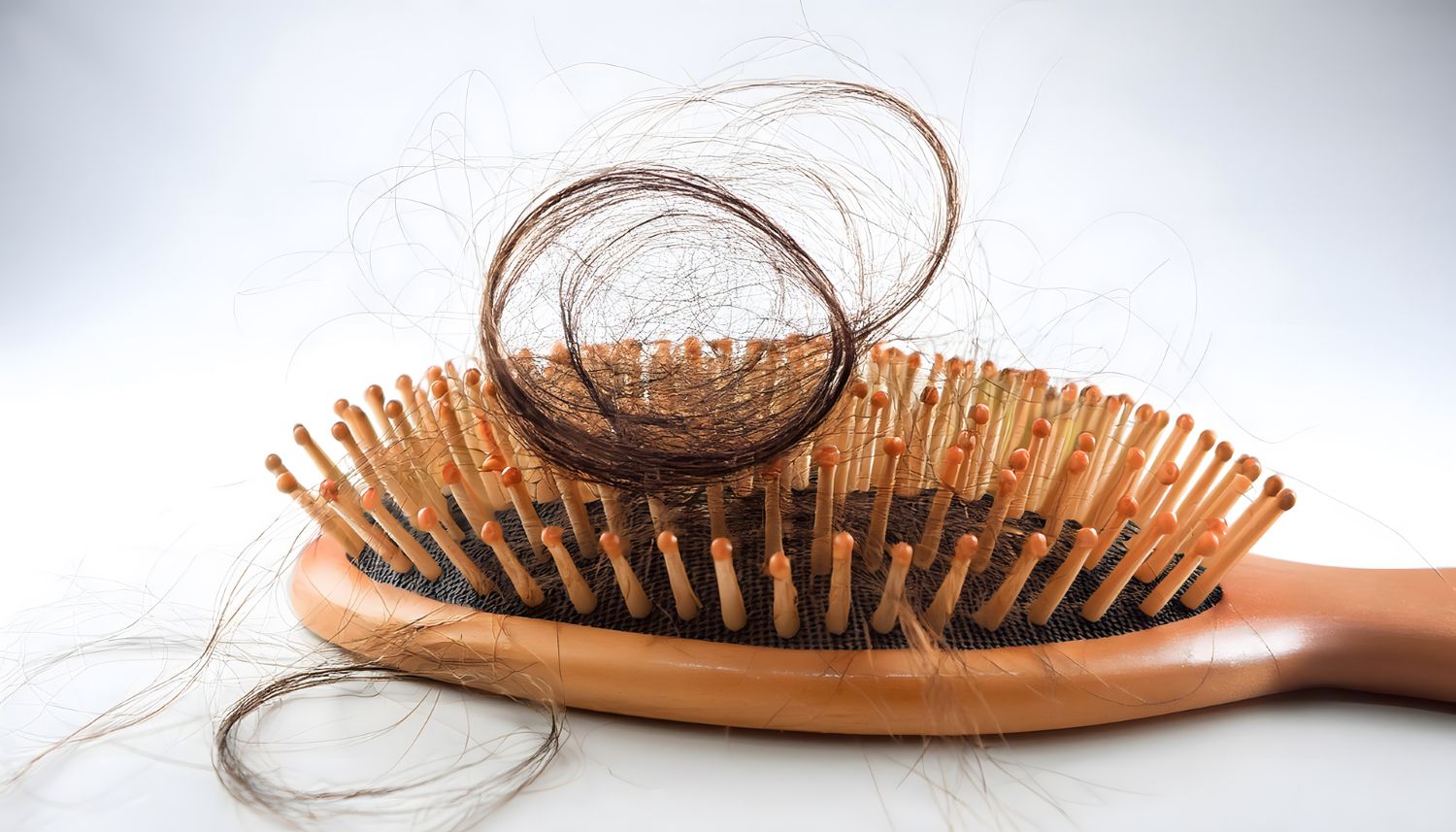 6 Makanan Alami yang Efektif Mencegah Rambut Rontok dan Menutrisi dari Dalam