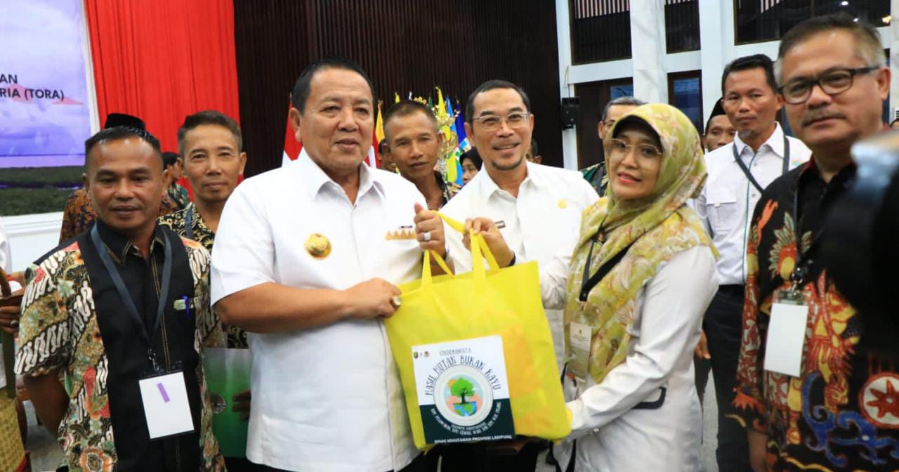 Gubernur Arinal Ikuti Penyerahan SK Perhutanan Sosial dan Tora Bersama Presiden Jokowi 