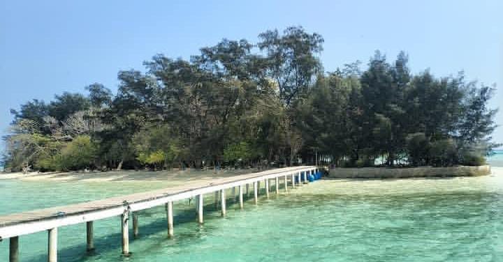 Menepi di Pulau Semak Daun: Sunyi yang Menyembuhkan