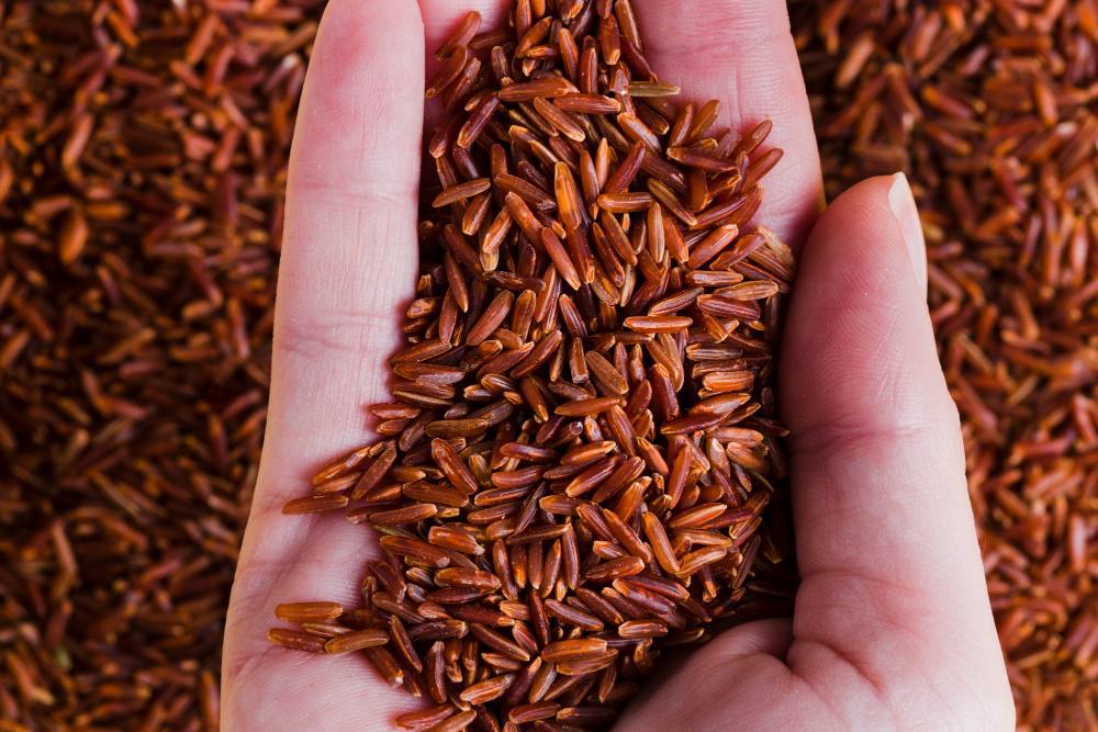 Selain Jadi Bahan Pokok Makan, Beras Merah Sangat Baik untuk Mencegah Penyakit Jantung