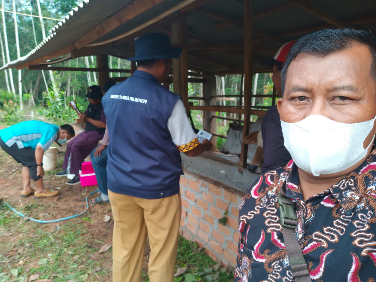 Aparatur Kampung Kalipapan Vaksinasi PMK Ternak Warga