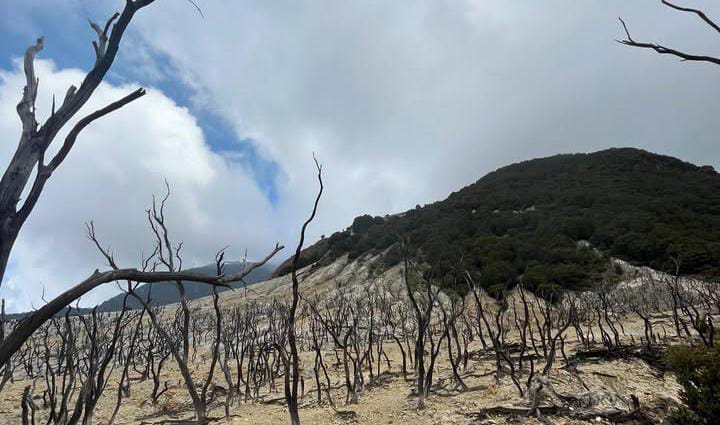 Gunung Papandayan, Pesona Vulkanik Garut yang Memikat