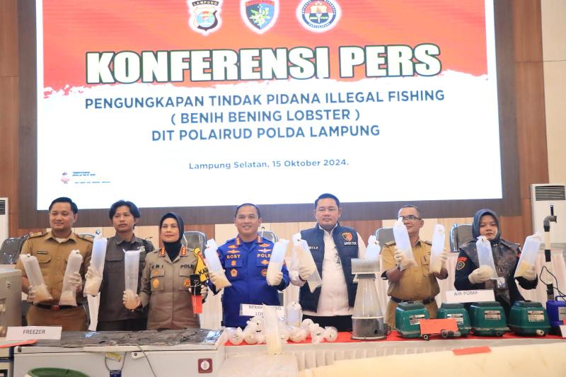 Polda Lampung Gagalkan Penyelundupan 149.400 Benih Lobster, Selamatkan Kerugian Negara Rp37,3 Miliar