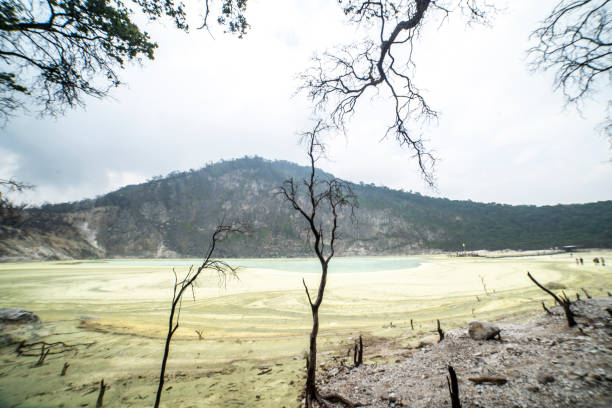 Jejak Emas di Gunung Patuha: Benarkah Ada Kerajaan yang Hilang?
