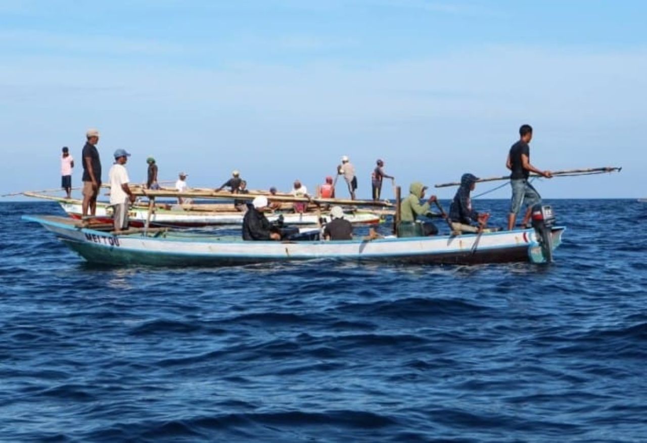 Tradisi Unik Berburu Paus di Lamalera, Warisan Budaya dari Flores