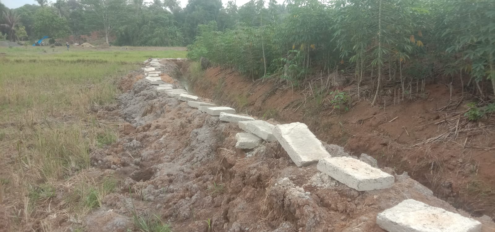 Kepala Desa Bojong Barat Diduga Lindungi P3TGAI Bermasalah