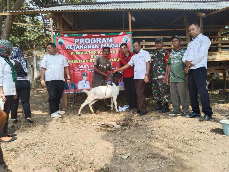 Ketahanan Pangan Hewani Tahun 2023 , Pemerintah Desa Jatimulyo Lampung Selatan Salurkan 16 Kambing 
