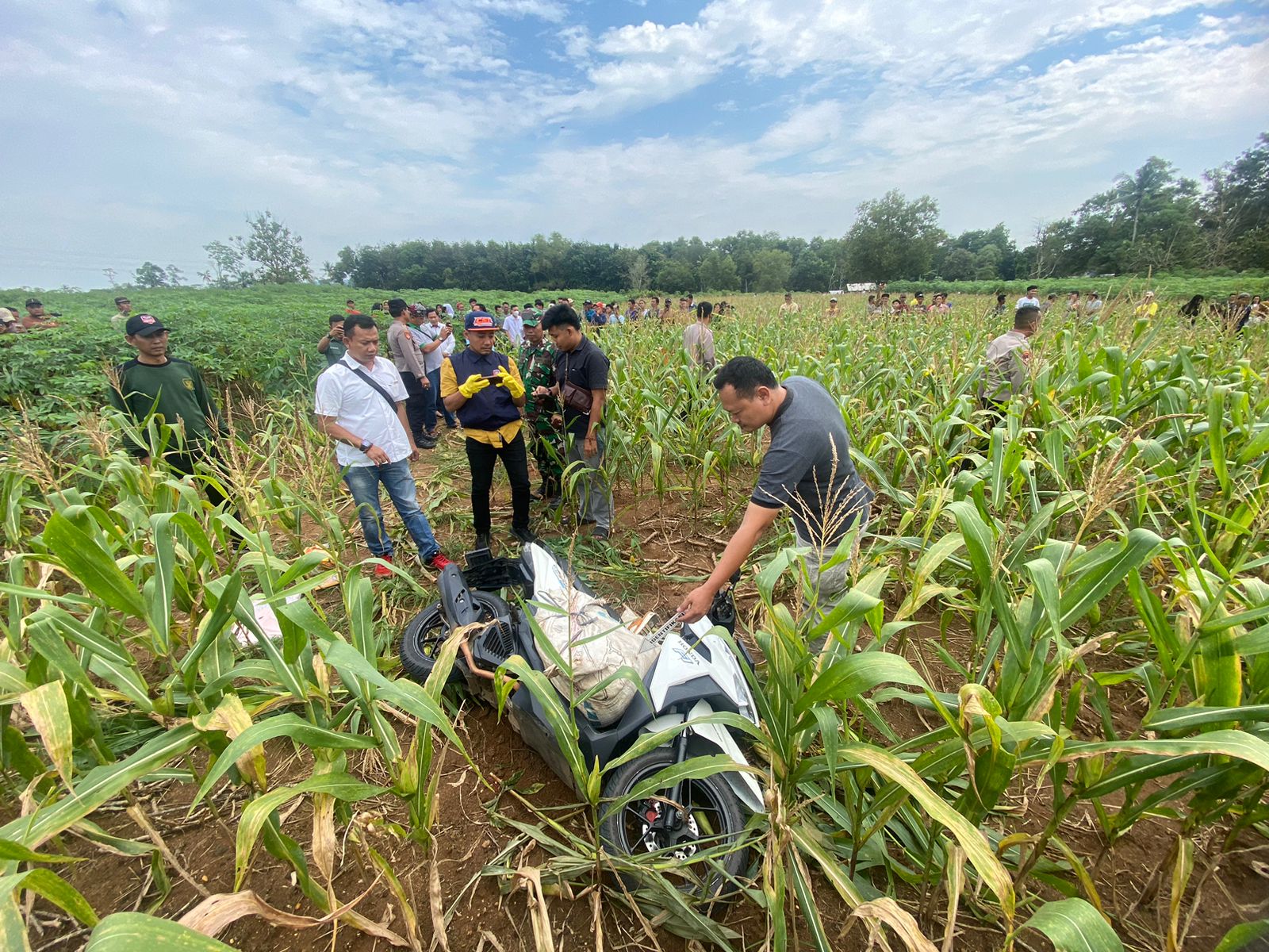 Penemuan Mayat di Kebun Lampung Timur Diselidiki Polisi