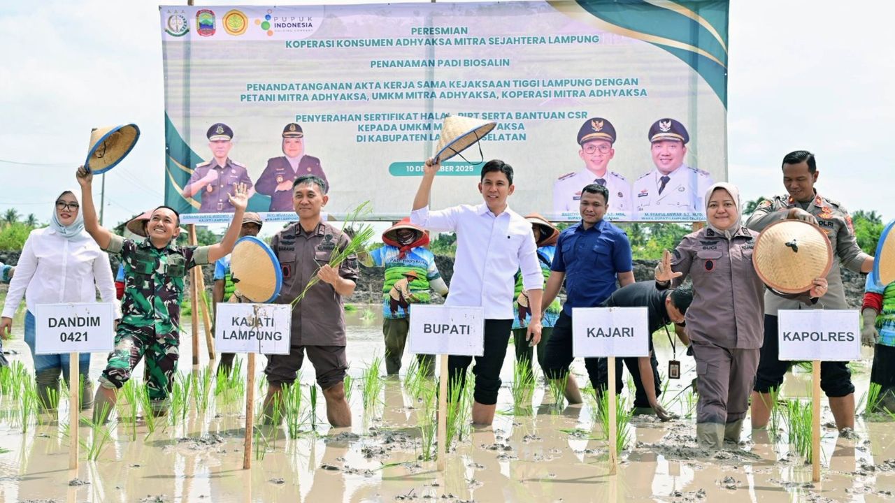 Kolaborasi Pemkab Lampung Selatan dan Kejati Lampung Perkuat Ketahanan Pangan Lewat Padi Biosalin di Sragi