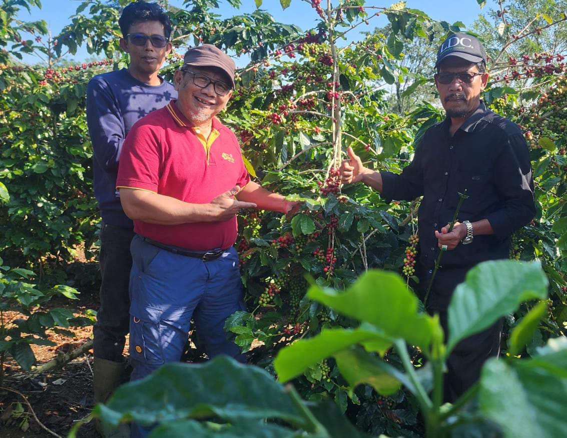 Kunjungi Kebun Kopi di Lampung Barat, Anton Apriyantono: Harga Adalah Milik Pasar, Produksi Milik Petani