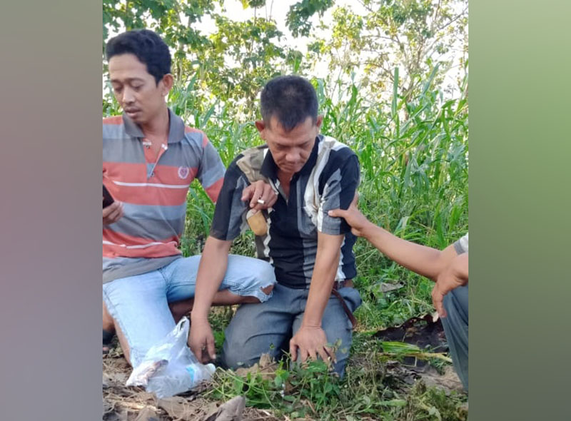 Diduga Jadi Korban Pembiusan, Sopir Angkutan Barang Ditemukan Pingsan di Kebun Jagung