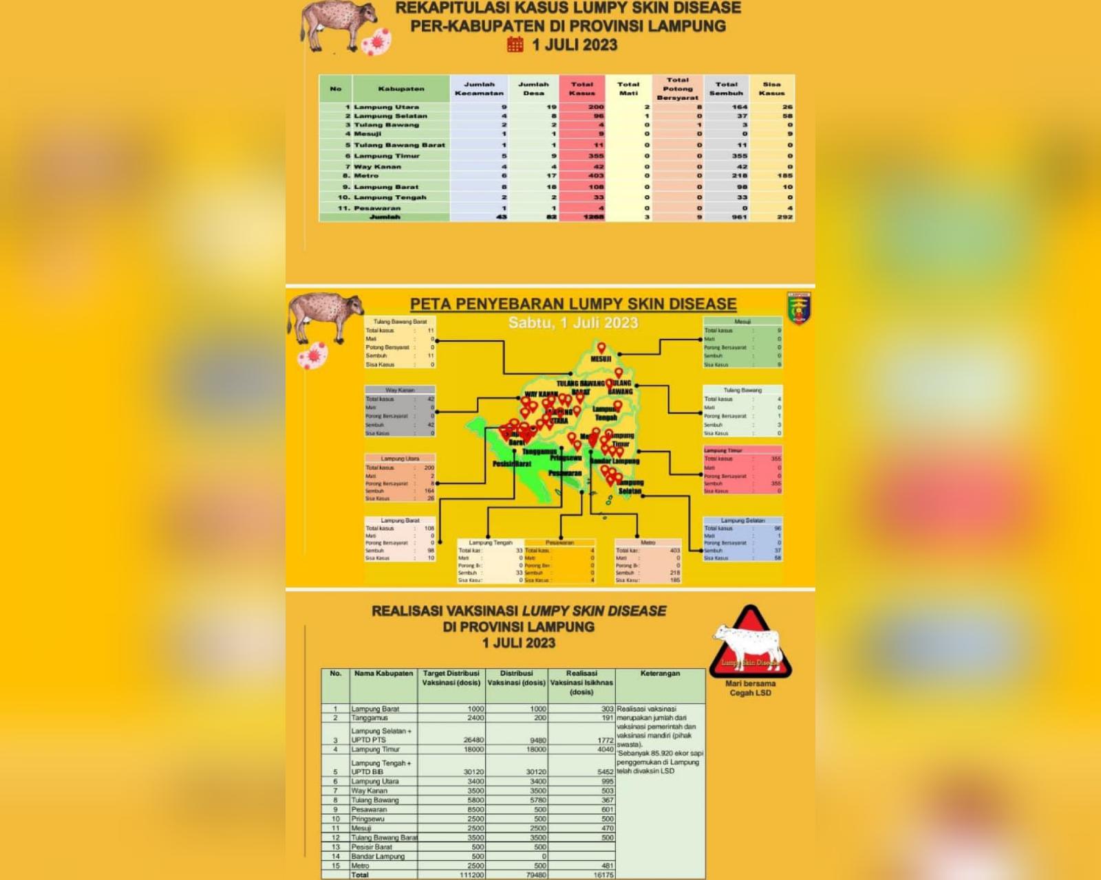 Dari 1.265 Hewan Ternak di Lampung Terjangkit LSD, Sudah 76 Persen Dinyatakan Sembuh