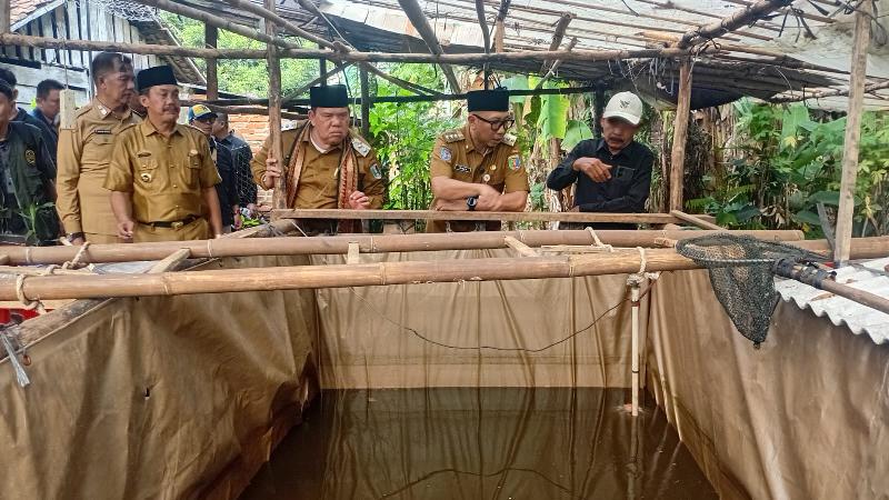 Gubernur Mirza Dorong Petani Gunakan Pupuk Hayati Cair untuk Tingkatkan Hasil Panen