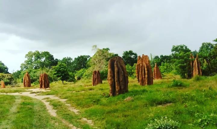 Wisata Merauke: Keindahan Alam dan Budaya Papua Selatan