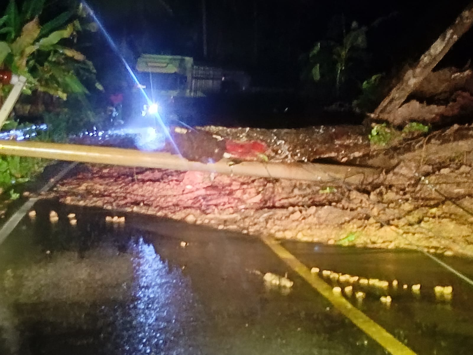 Tanah Longsor dan Pohon Tumbang Selesai Dibersihkan, Lalu Lintas di Jalinbar Lampung-Bengkulu Kembali Normal