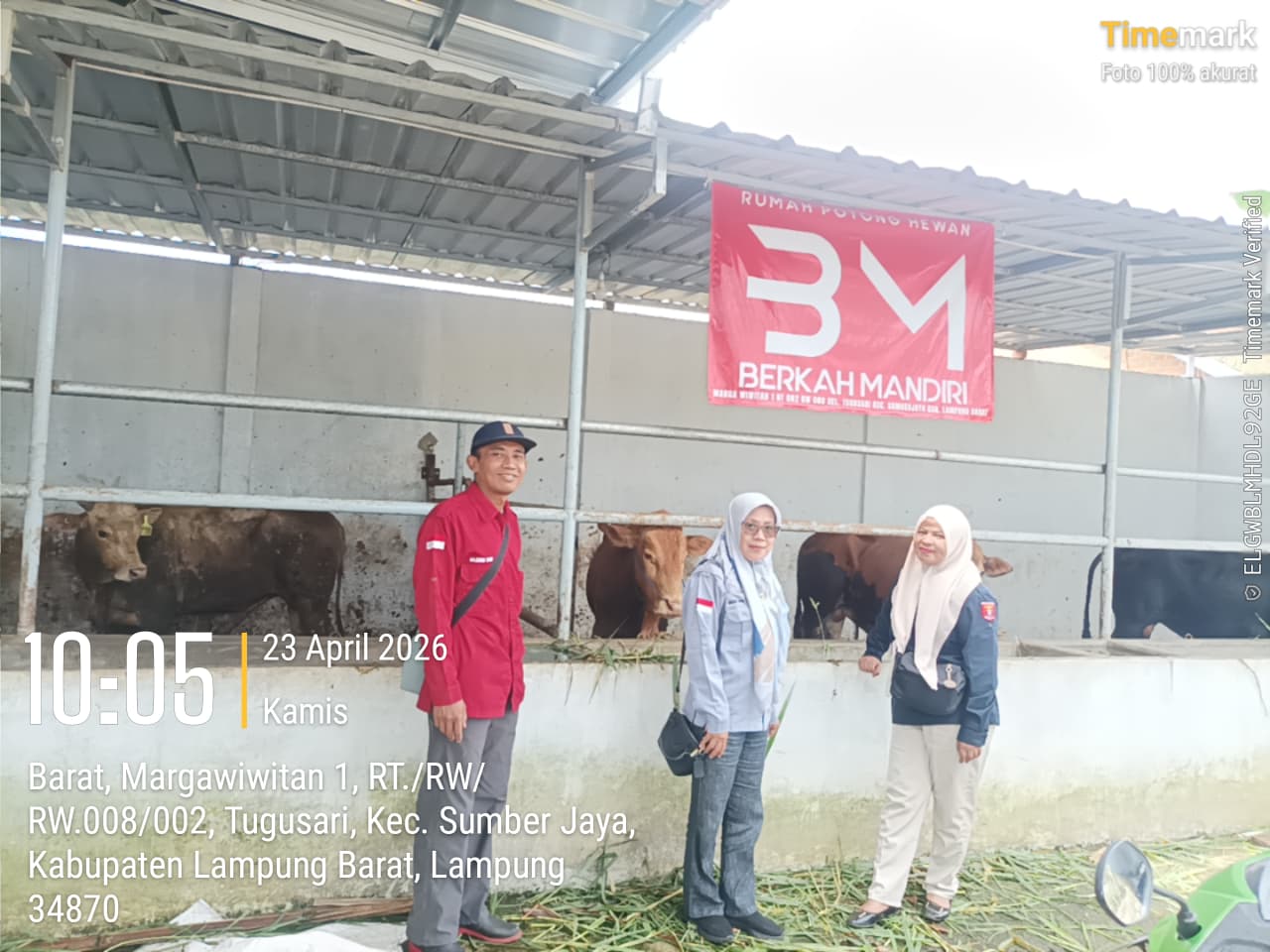 Cegah PMK, UPT Keswan Gedungsurian Gencarkan Vaksinasi Sapi di Sumberjaya