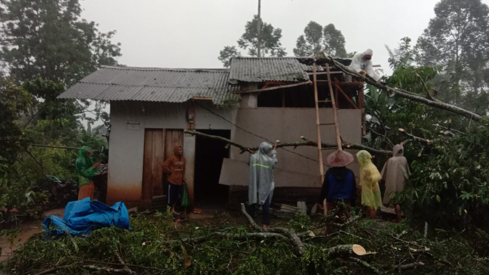 Angin Puting Beliung Terjang Pekon Muara Baru