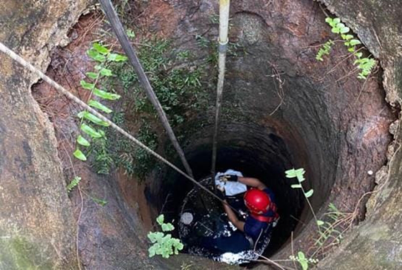 Kucing Persia Berhasil Diselamatkan dari Sumur Sedalam 7 Meter di Enggal