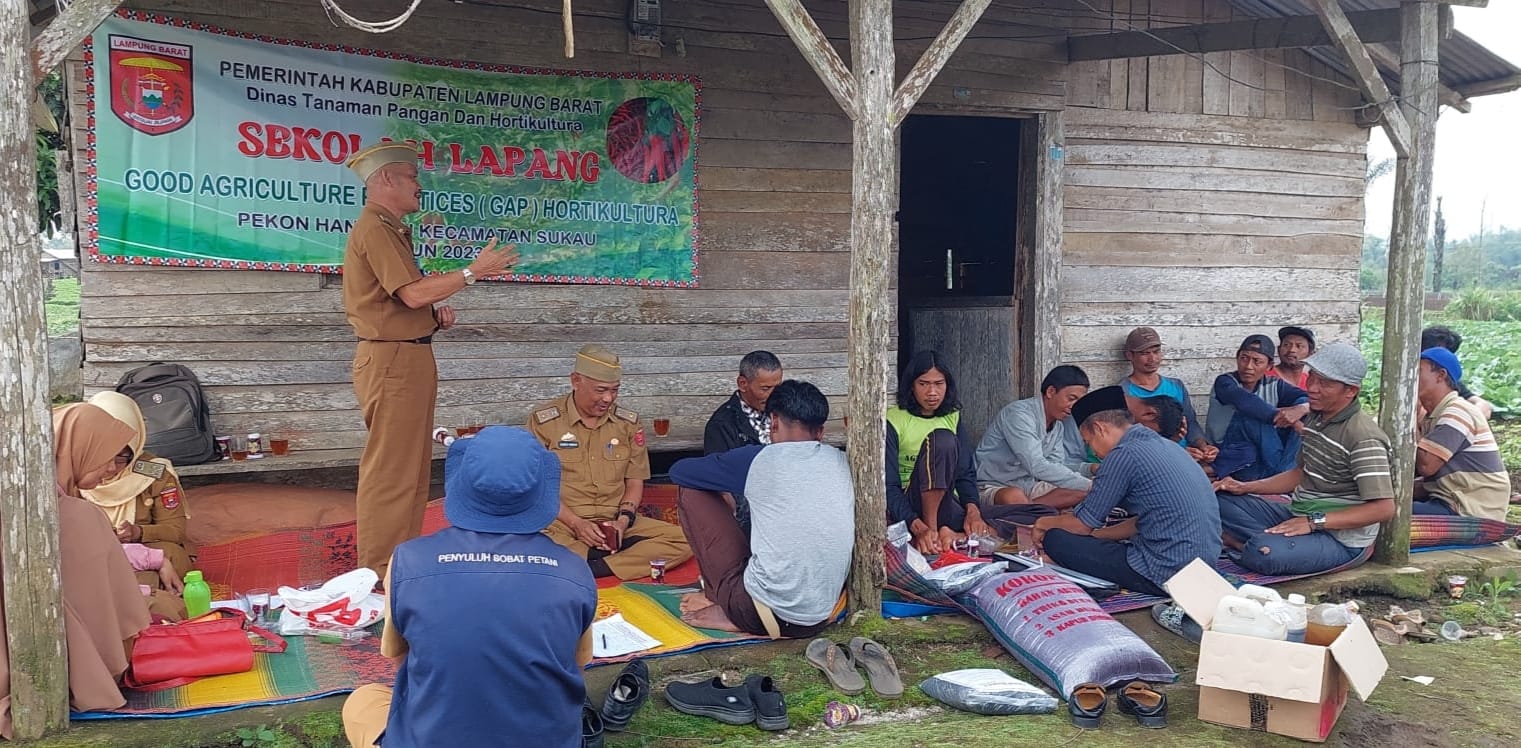 DTPH Lampung Barat Adakan Sekolah Lapang Bagi Petani Hortikultura