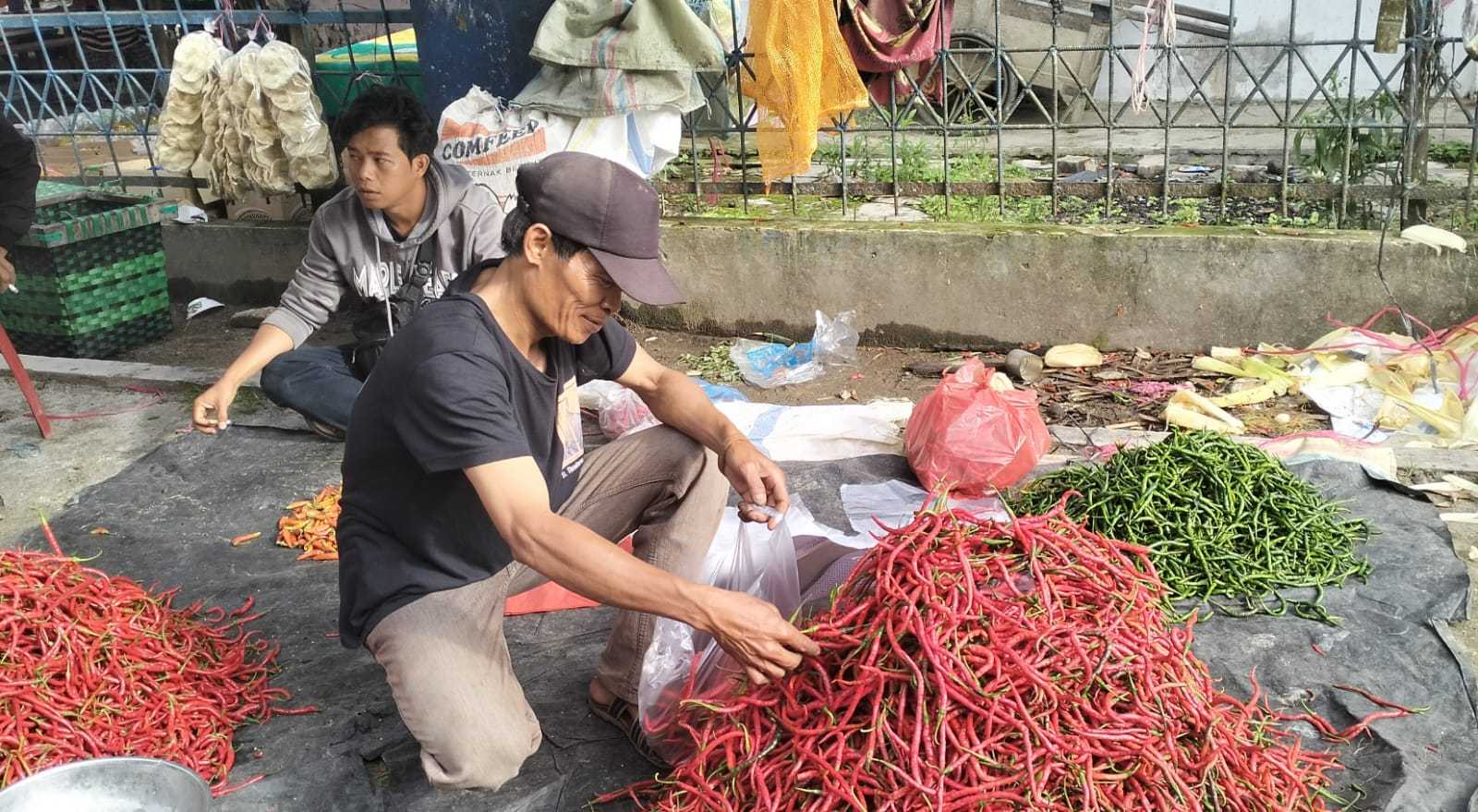 Pasca Nataru, Harga Cabai di Lampung Barat Berangsur Turun