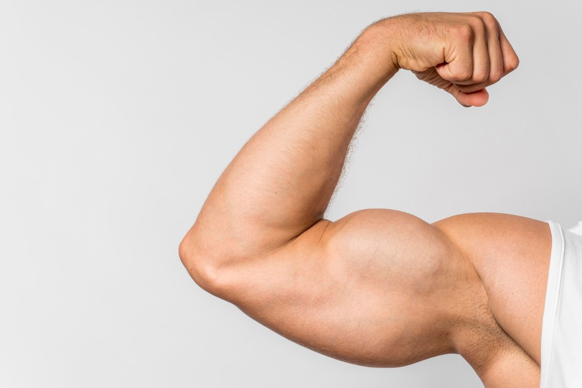 Otot Rangka; Struktur, Fungsi dan Gangguan yang Perlu Diketahui