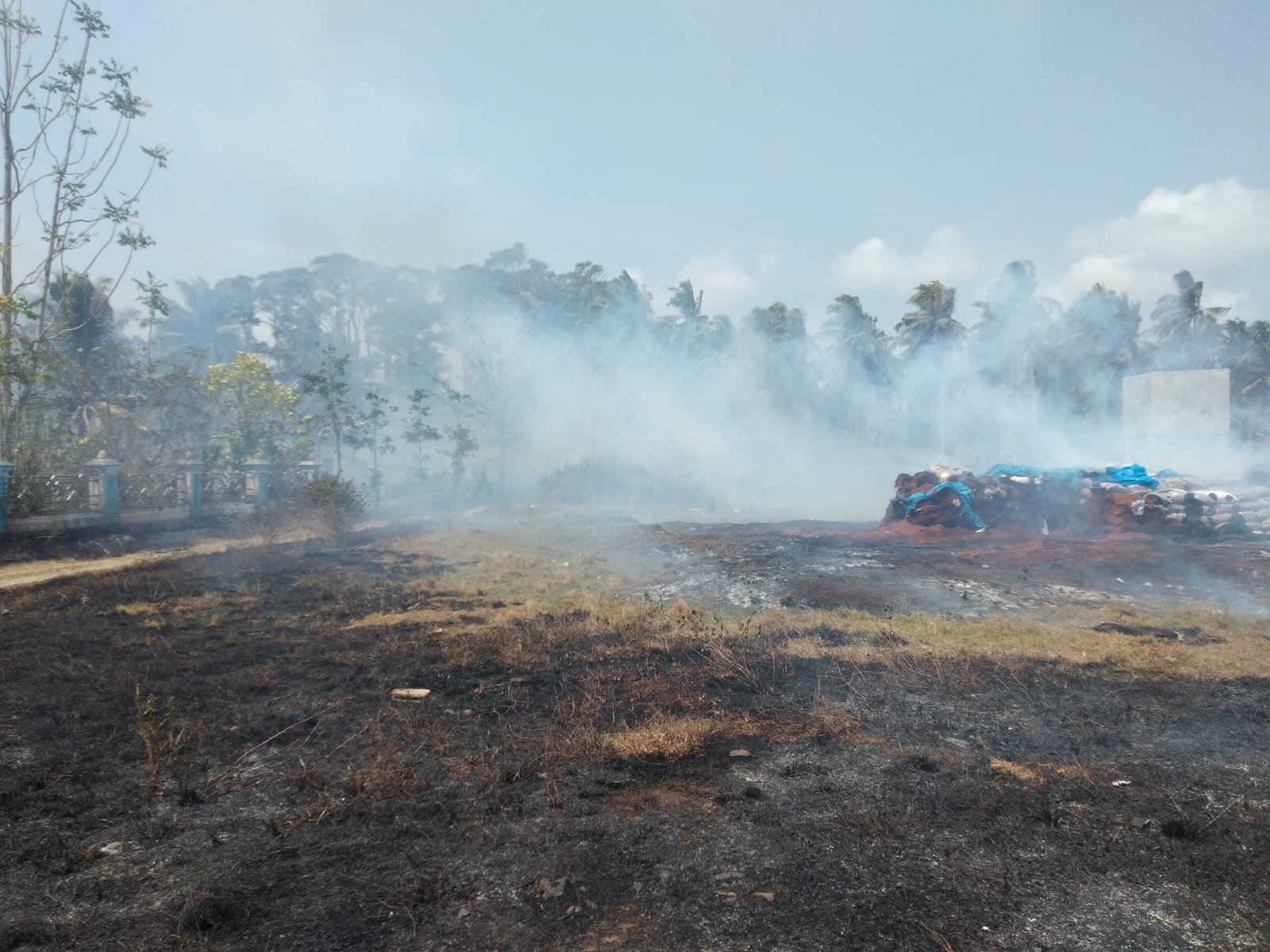 Diduga Akibat Puntung Rokok, Sekitar 8 Hektare Lahan Pengolahan Sabut Kelapa di Pesisir Barat Terbakar