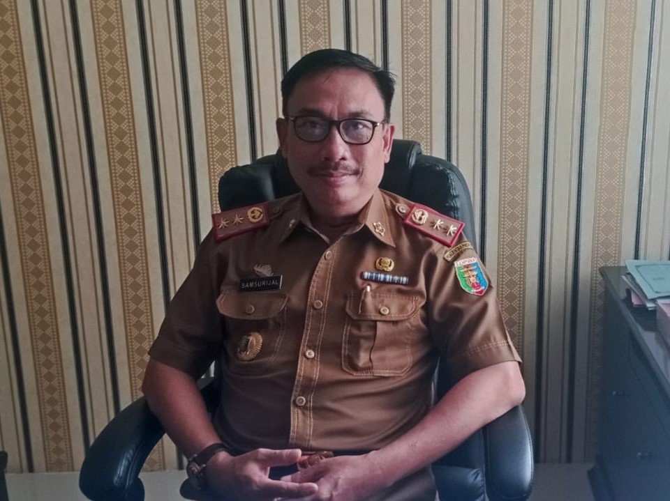 Pertumbuhan UMKM Meningkat, Pemprov Fasilitasi Pendampingan dan Pinjaman KUR 