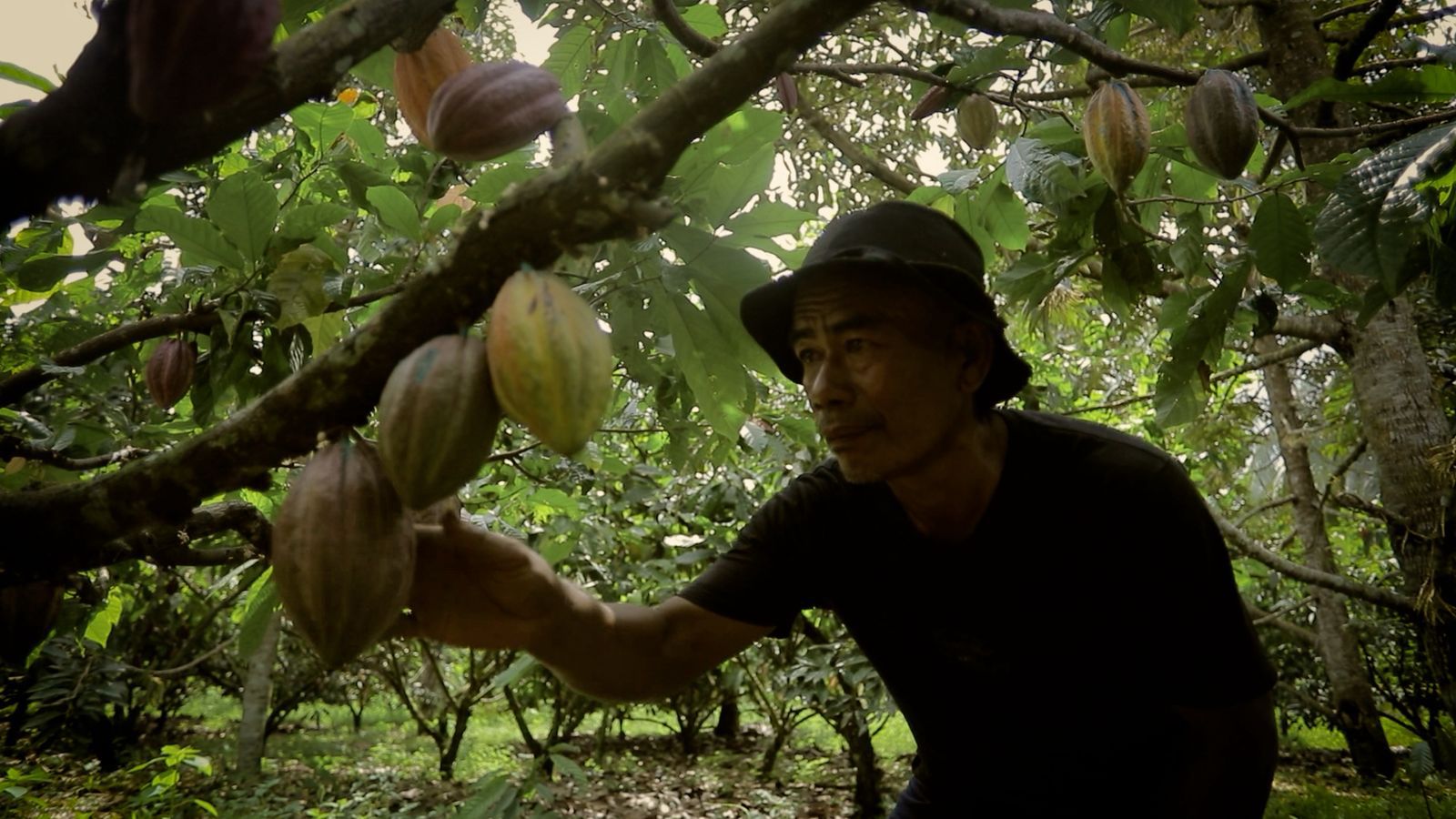 Dari Pesisir ke Panggung Nasional: Desa Sausu Tambu dan Lompatan Ekonomi Berbasis Potensi Lokal