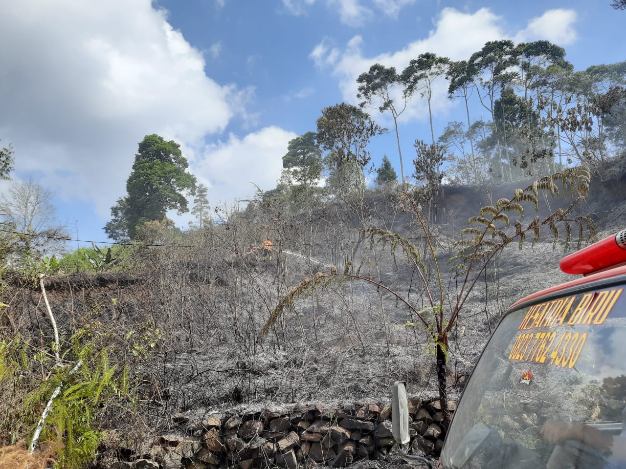 Dua Hektar Semak Belukar di Pekon Sukajaya Terbakar 
