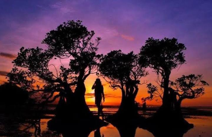 Pantai Walakiri, Pesona Alam dan Parade Kuda Sandelwood yang Memikat