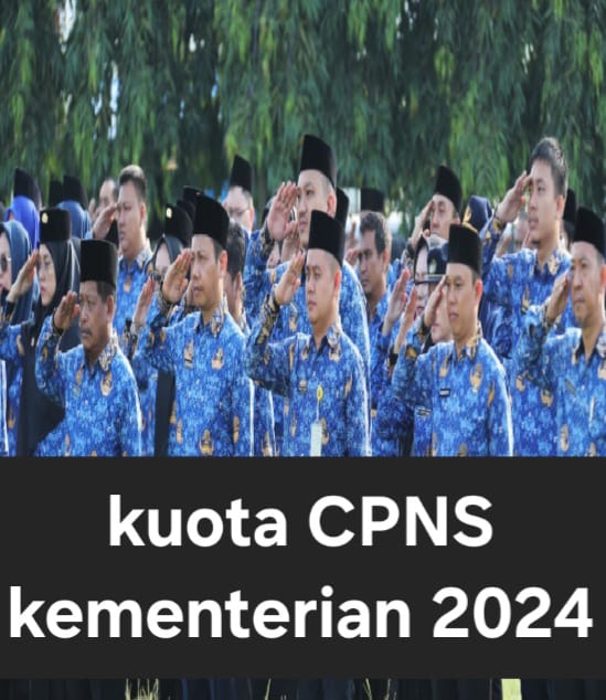 Berikut 15 Kementerian dan Lembaga Tawarkan Kuota CPNS 2024