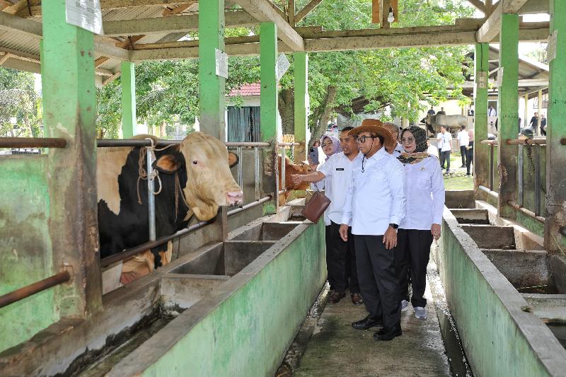 Pj Gubernur Lampung Tinjau Proses Produksi Mani Sapi Beku di Lampung Tengah