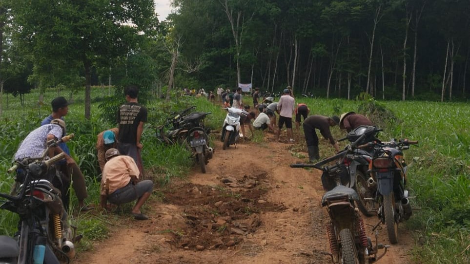 Bosan Menunggu, Warga Desa Tanjung Harapan Perbaiki Jalan Kabupaten Secara Swadaya