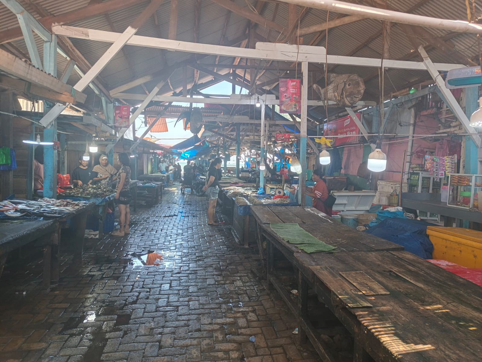 Bandar Lampung Bidik Ikan Siluman: Dari Timbangan ke Meter Persegi