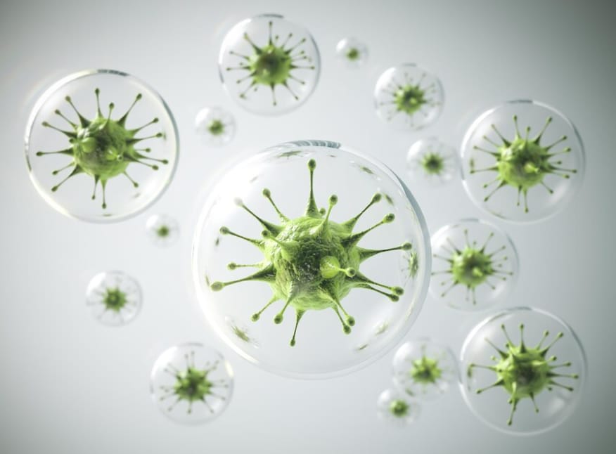 Mengenal Bakteri Lebih Dalam: Fakta Penting dan Cara Aman Mencegah Infeksi