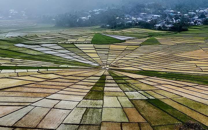 Sawah Jaring Laba-Laba Cancar, Keindahan Unik Warisan Adat Manggarai