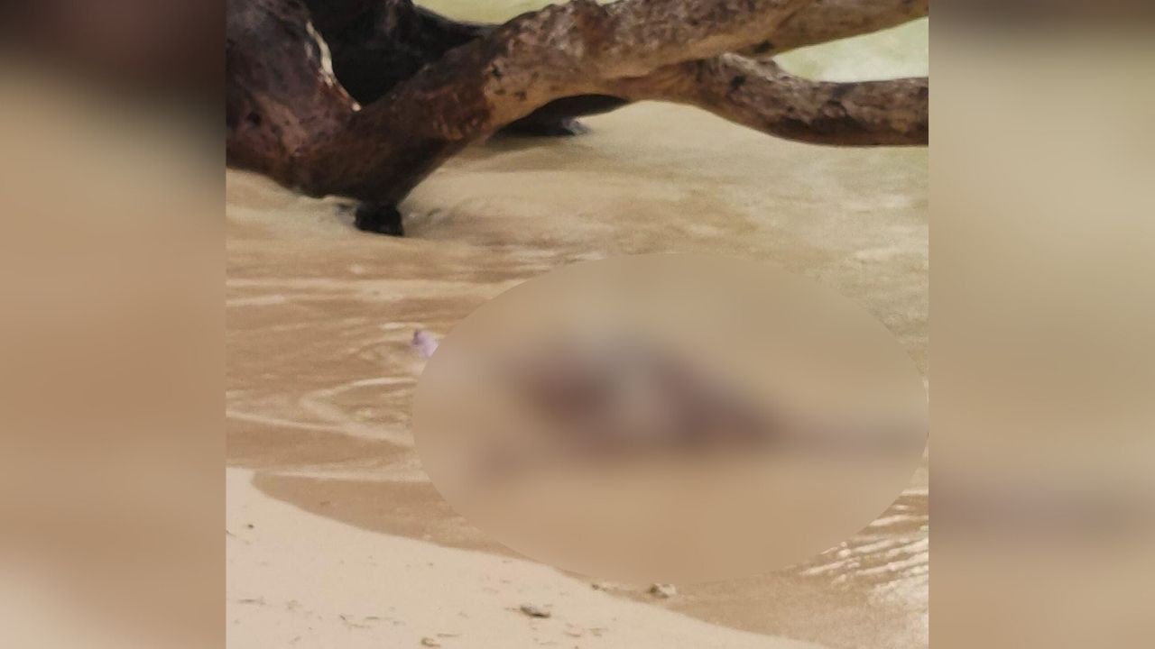 Mayat Tanpa Identitas Ditemukan di Pantai Walur, Kondisi Tidak Utuh