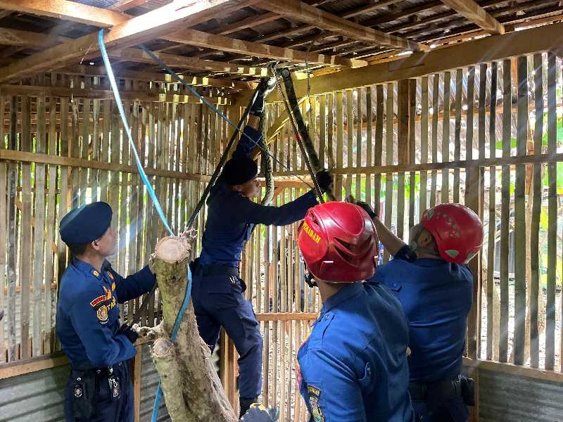 Damkar Evakuasi Ular Sanca 2,5 Meter yang Masuk Kandang Ayam di Bandar Lampung