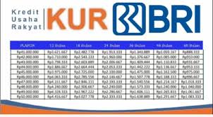 KUR BRI 2025, Peluang Modal Usaha Rp10 Juta dengan Cicilan Ringan