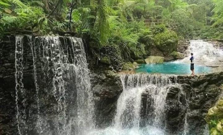 Curug Balong Endah, Pesona Air Terjun Alami di Jantung Halimun Salak