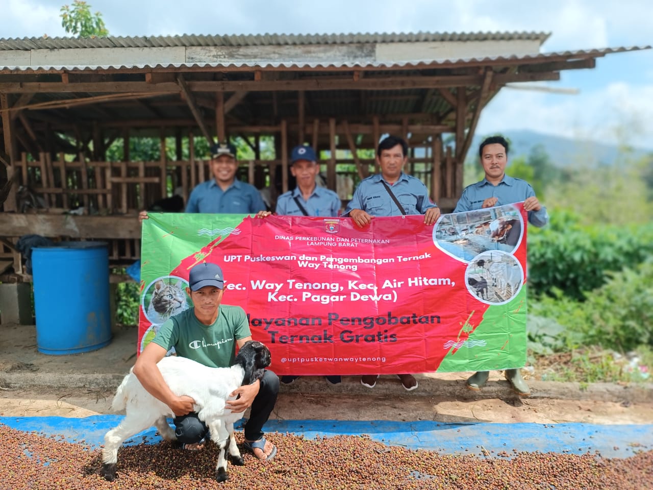 UPT Keswan Vaksinasi Ternak Kambing di Pekon Sri Menanti 
