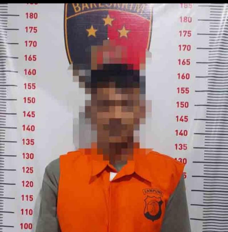 Pelaku Curat Di Ketapang berhasil diringkus Polisi 