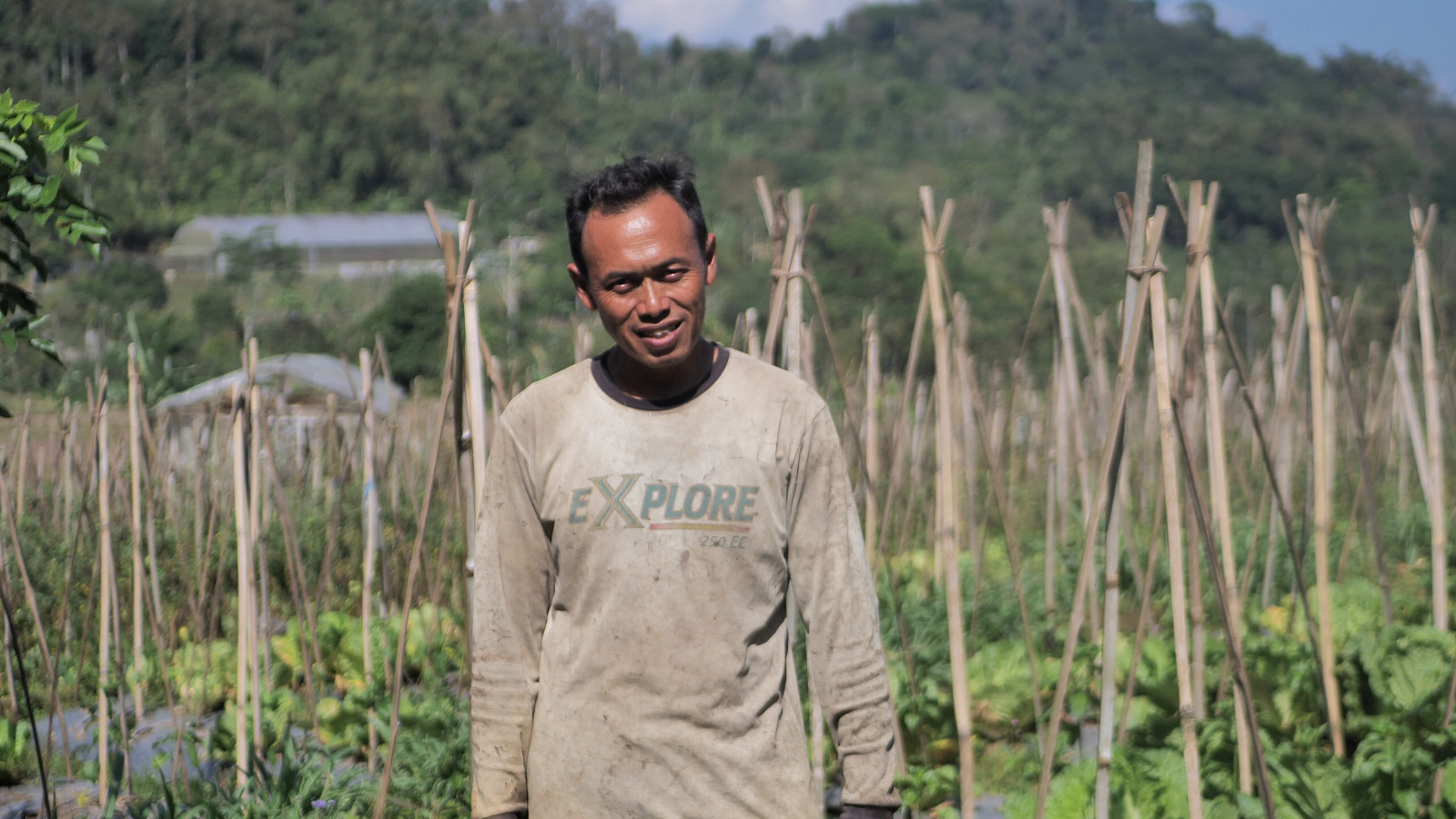 Dari Ladang Sayur ke Digitalisasi, Cerita Desa BRILian Sumowono
