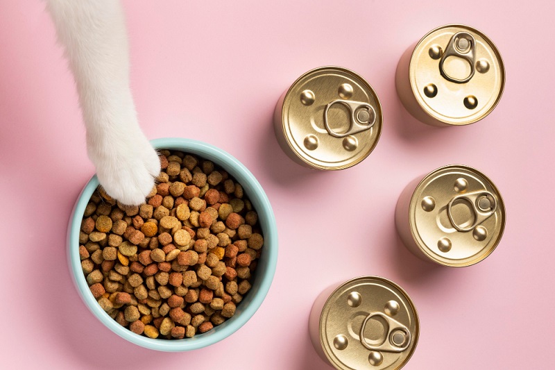 5 Makanan Kucing yang Kaya Nutrisi Untuk Anabul
