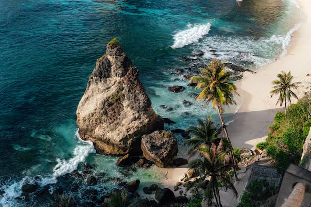 Keindahan Pantai dan Keanekaragaman Hayati di Pesisir Lampung