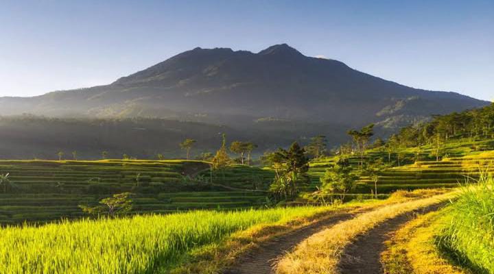 Gunung Lawu: Misteri dan Keindahan di Perbatasan Jawa Tengah