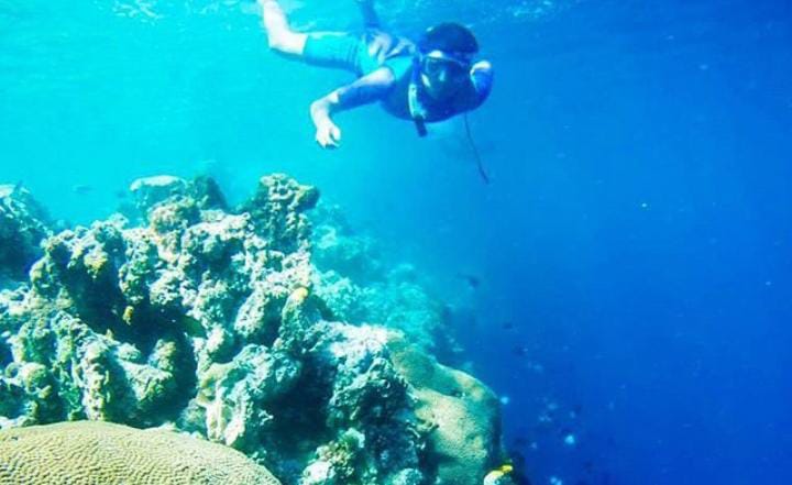 Tembok Raksasa Bawah Laut Bunaken: Permata Bahari Indonesia