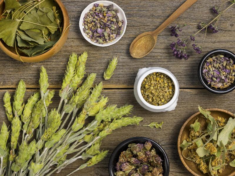 6 Jenis Daun Herbal Untuk Menurunkan Kolesterol Tinggi